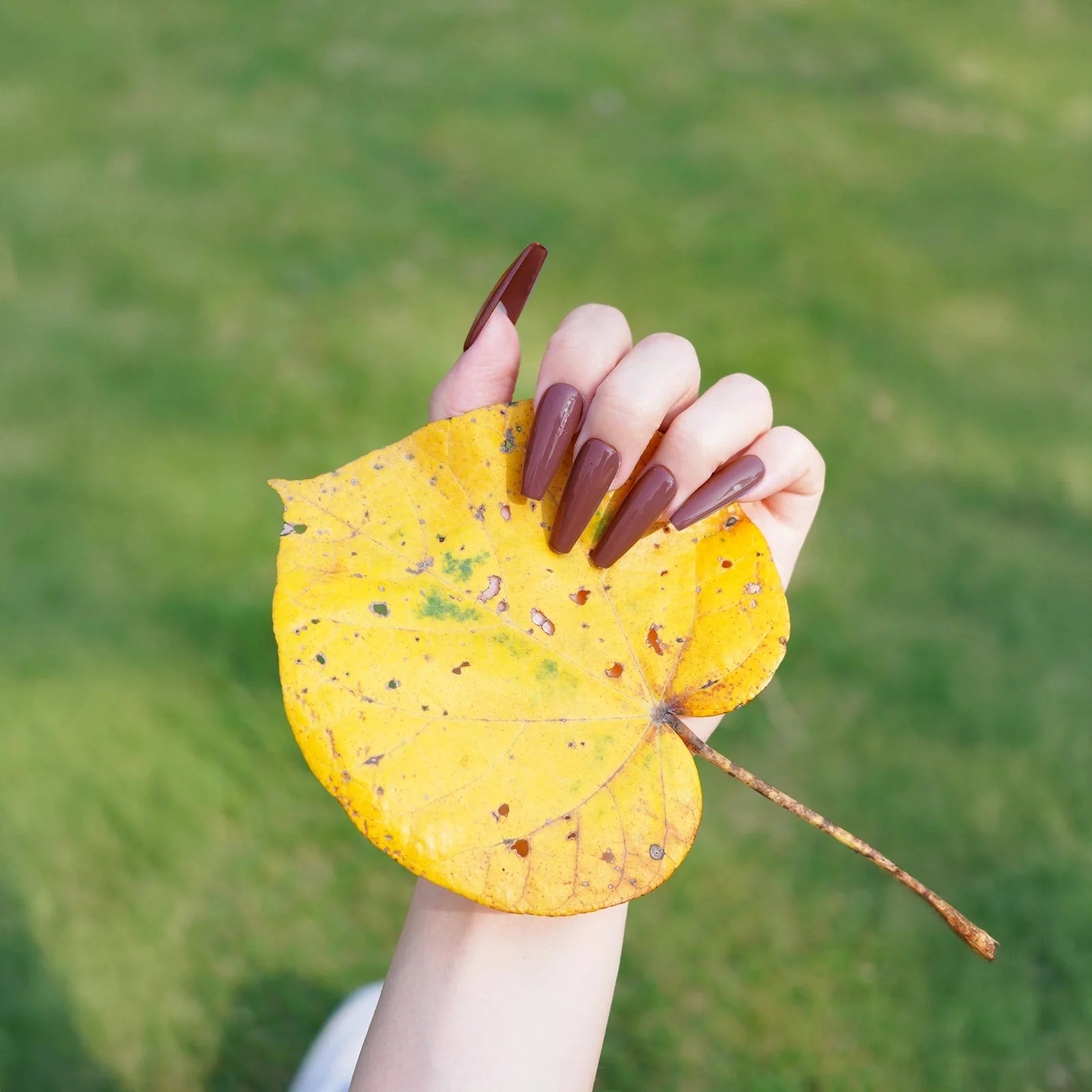 LKEnail Modern Muse - 6 Color Nail Gel Kit - LKEnail